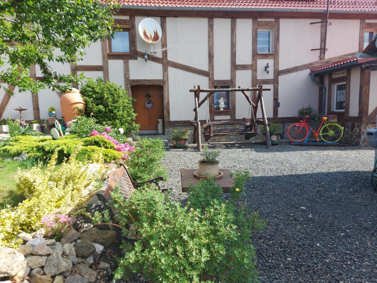 Zacisze 13 Appartement Leśna Buitenkant foto